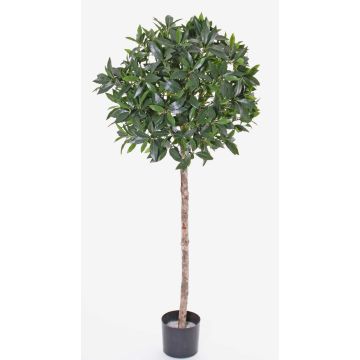 Konstgjord körsbärslorberkula ALEXIOS, äkta stam, frukter, 145cm, Ø60cm