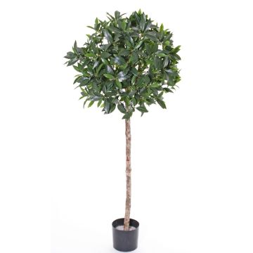 Konstgjord körsbärslorberkula ALEXIOS, äkta stam, frukter, 145cm, Ø60cm