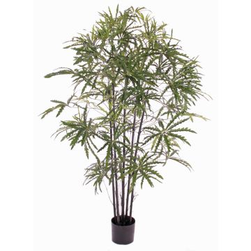 Konstgjord fingeraralia CARLIE, konstgjorda stammar, grön, 150cm Konstgjord fingeraralia CARLIE, konstgjorda stammar, grön, 150cm