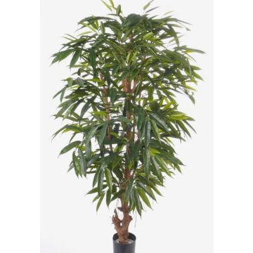 Konstgjord Longifolia MARLIT, naturstam, 180cm Konstgjord Longifolia MARLIT, naturstam, 180cm