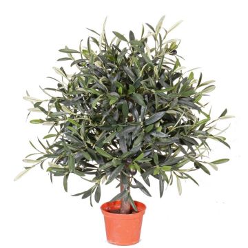 Konstgjord olivträd WYNONA, naturstam, frukter, 50cm Konstgjord olivträd WYNONA, naturstam, frukter, 50cm