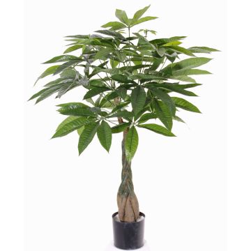Konstgjord pachira CASSIAN, konstgjord stam, 90cm