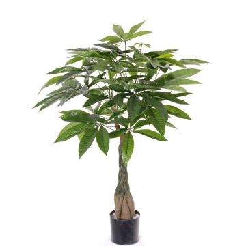 Konstgjord pachira CASSIAN, konstgjord stam, 90cm