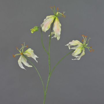 Konstgjord gloriosa TIANA, krämfärgad-grön-rosa, 85cm, Ø9-10cm