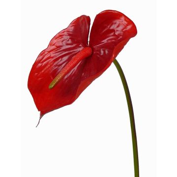 Konstgjord flamingoblomma MOIRA, röd, 75cm, 13x18cm Konstgjord flamingoblomma MOIRA, röd, 75cm, 13x18cm