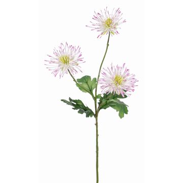 Konstgjord krysantemumkvist SOLVIE, vit-rosa, 75cm, Ø11-12cm Konstgjord krysantemumkvist SOLVIE, vit-rosa, 75cm, Ø11-12cm