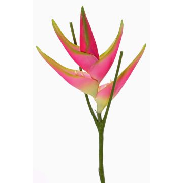 Konstgjord helikoni-blomma TOMKE, cerise-grön, 80cm, Ø18cm