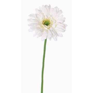 Konstgjord gerbera HELLI, krämfärgad, 65cm, Ø12cm