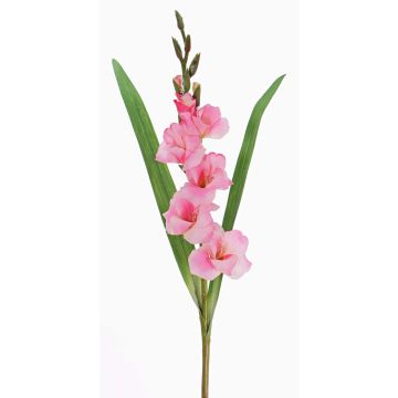 Konstgjord gladiolus ELEA, rosa, 80cm, Ø7-9cm Konstgjord gladiolus ELEA, rosa, 80cm, Ø7-9cm