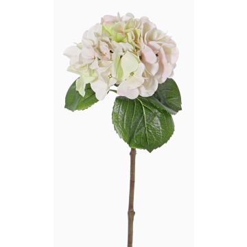 Konstgjord hortensia CHIDORI, krämfärgad-rosa-grön, 60cm, Ø18cm Konstgjord hortensia CHIDORI, krämfärgad-rosa-grön, 60cm, Ø18cm