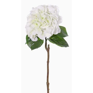 Konstgjord hortensia CHIDORI, vit-grön, 60cm, Ø18cm