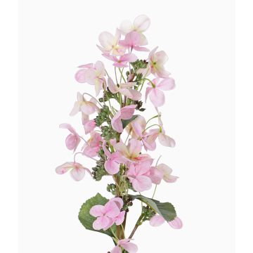 Konstgjord hortensia Paniculata CHADORA, rosa-gul, 70cm, Ø12cm Konstgjord hortensia Paniculata CHADORA, rosa-gul, 70cm, Ø12cm