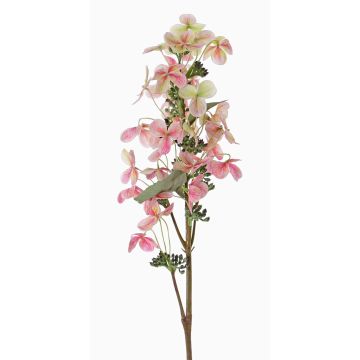 Konstgjord hortensia Paniculata CHADORA, cerise-grön, 70cm, Ø12cm Konstgjord hortensia Paniculata CHADORA, cerise-grön, 70cm, Ø12cm