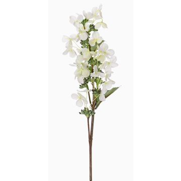 Konstgjord hortensia Paniculata CHADORA, vit-grön, 70cm, Ø12cm Konstgjord hortensia Paniculata CHADORA, vit-grön, 70cm, Ø12cm