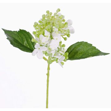 Konstgjord hortensia CHABY, vit-grön, 30cm, Ø9cm