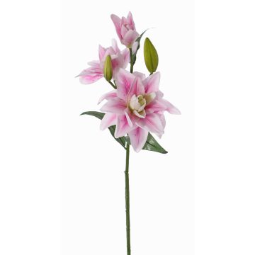 Konstgjord lilja ISALIE, rosa-vit, 80cm, Ø13-16cm