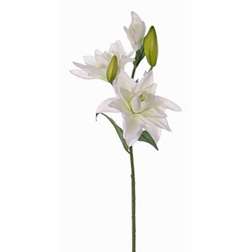 Konstgjord lilja ISALIE, vit-grön, 80cm, Ø13-16cm Konstgjord lilja ISALIE, vit-grön, 80cm, Ø13-16cm