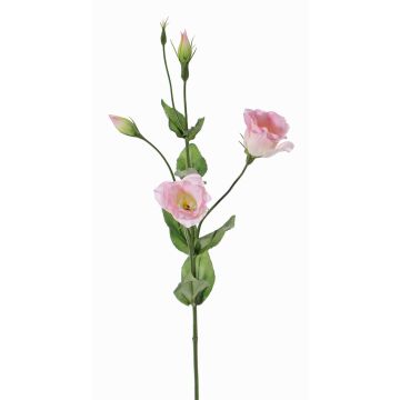 Konstgjord lisianthus JUDIKA, rosa-vit-grön, 70cm, Ø6-7cm Konstgjord lisianthus JUDIKA, rosa-vit-grön, 70cm, Ø6-7cm