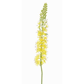 Stor konstgjord blomma, steppljus SELINA, gul-orange, 105cm, Ø9cm Stor konstgjord blomma, steppljus SELINA, gul-orange, 105cm, Ø9cm