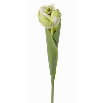 Konstgjord tulpan ROMANA, ljusgrön, 45cm, Ø6cm