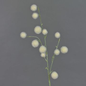 Konstgjord ballong-euforbia EMRAH, krämfärgad, 80cm, Ø3-4,5cm Konstgjord ballong-euforbia EMRAH, krämfärgad, 80cm, Ø3-4,5cm