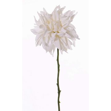 Konstgjord dahlia SMILA, krämfärgad, 55cm, Ø12cm