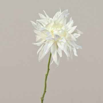 Konstgjord dahlia SMILA, krämfärgad, 55cm, Ø12cm Konstgjord dahlia SMILA, krämfärgad, 55cm, Ø12cm
