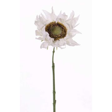 Konstgjord solros JANIKA, vit, 60cm, Ø13cm Konstgjord solros JANIKA, vit, 60cm, Ø13cm