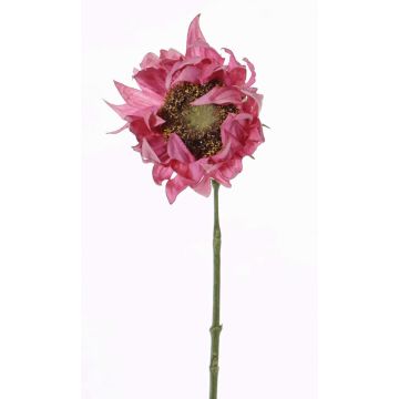 Konstgjord solros JANIKA, rosa, 60cm, Ø13cm Konstgjord solros JANIKA, rosa, 60cm, Ø13cm