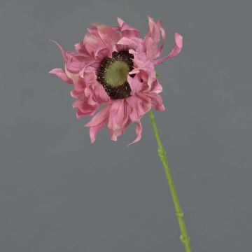 Konstgjord solros JANIKA, rosa, 60cm, Ø13cm Konstgjord solros JANIKA, rosa, 60cm, Ø13cm