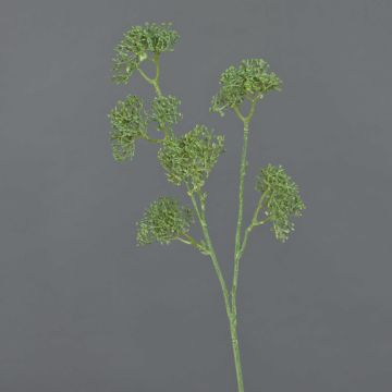 Konstgjord ängskörvel ESME, grön, 60cm, Ø8cm Konstgjord ängskörvel ESME, grön, 60cm, Ø8cm