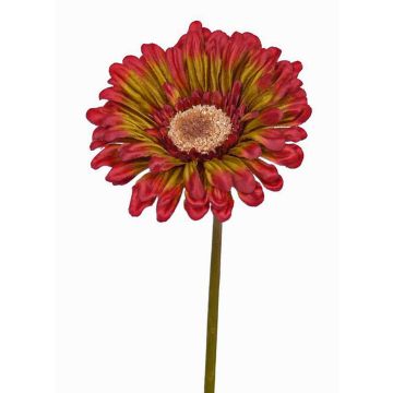 Konstgjord gerbera ANNEMARIE, röd-grön, 50cm, Ø10cm Konstgjord gerbera ANNEMARIE, röd-grön, 50cm, Ø10cm