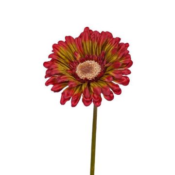 Konstgjord gerbera ANNEMARIE, röd-grön, 50cm, Ø10cm