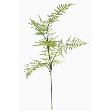 Konstgjord Asparagus plumosus-gren HAYDON, grön, 85cm