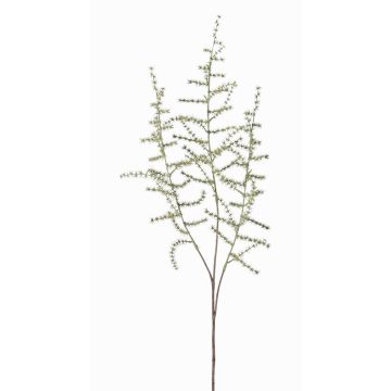 Konstgjord Asparagus acutifolius-gren JOCHEN, grön, 70cm