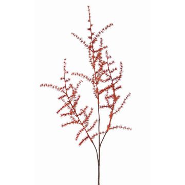 Konstgjord Asparagus acutifolius-gren JOCHEN, orange, 70cm