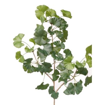 Konstgjord ginkgogren HILGER, svårantändlig, 70cm Konstgjord ginkgogren HILGER, svårantändlig, 70cm