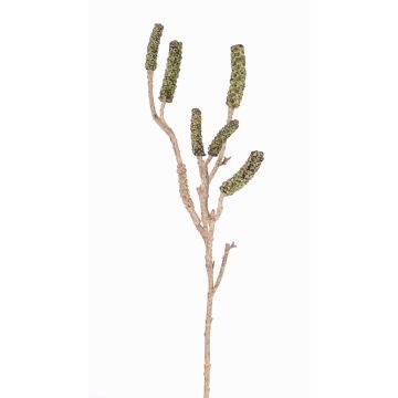 Konstgjord cylinderputzer-gren SIRIUS med frukter, grön, 60cm Konstgjord cylinderputzer-gren SIRIUS med frukter, grön, 60cm