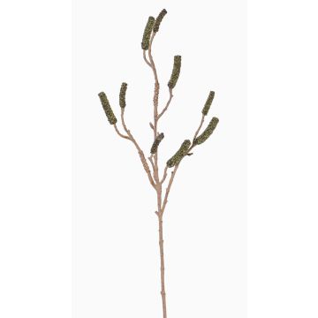 Konstgjord cylinderputzer-gren SIRIUS med frukter, grön, 90cm Konstgjord cylinderputzer-gren SIRIUS med frukter, grön, 90cm