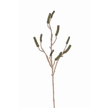 Konstgjord cylinderputzer-gren SIRIUS med frukter, grön, 90cm Konstgjord cylinderputzer-gren SIRIUS med frukter, grön, 90cm