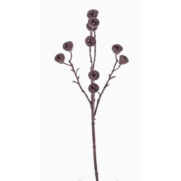 Konstgjord eukalyptusgren BASILIUS med frukter, brun, 60cm