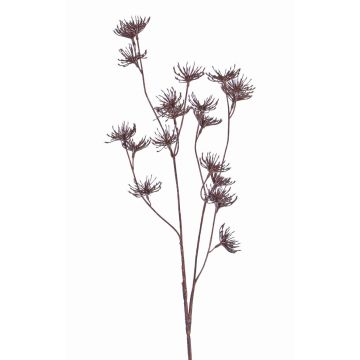 Konstgjord vild morot DORIAN, brun, 65cm, Ø4cm Konstgjord vild morot DORIAN, brun, 65cm, Ø4cm