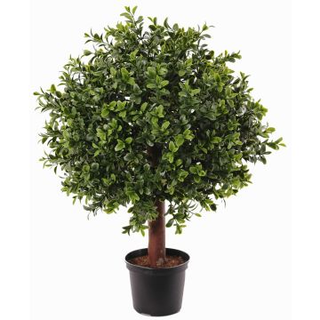 Konstgjord buxbom TOM, naturstam, crossdoor, 45cm, Ø30cm