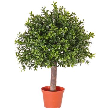 Konstgjord buxbom TOM, naturstam, crossdoor, 45cm, Ø30cm
