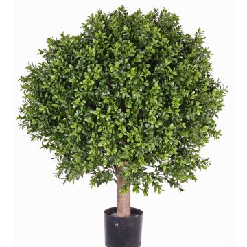 Konstgjord buxbom TOM, naturstam, crossdoor, 65cm, Ø50cm