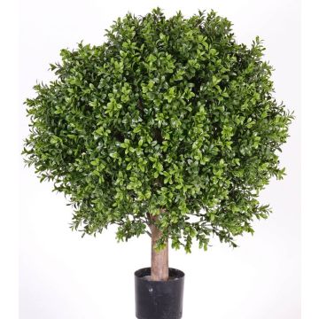 Konstgjord buxbom TOM, naturstam, crossdoor, 65cm, Ø50cm