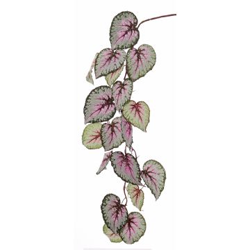 Konstgjord bladbegonia, kvist KATRICE, violett-grön, 110cm Konstgjord bladbegonia, kvist KATRICE, violett-grön, 110cm