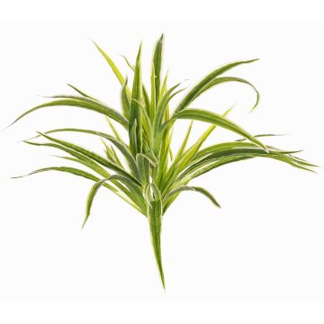 Konstgjord grönlilja TASNIN på stativ, grön-vit, 35cm, Ø40cm
