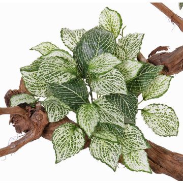 Konstgjord mosaikväxt MOLARA på stativ, grön-vit, 25cm