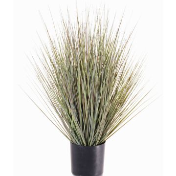 Konstgjord stavhirse ZAYN, grågrön, 60cm Konstgjord stavhirse ZAYN, grågrön, 60cm